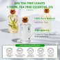 100ML Tea Tree Essential Oils for Diffuser Humidifier Massage Candles Making