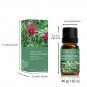 36 Essential Oils, 100% Natural, Perfect for Diffuser, Humidifier, Massage