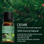 36 Essential Oils, 100% Natural, Perfect for Diffuser, Humidifier, Massage
