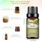 10ml Vanilla Eessential Oil for Aroma Candles Making Spa Massage Humidifier
