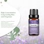 10ml Vanilla Eessential Oil for Aroma Candles Making Spa Massage Humidifier