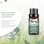 10ml Vanilla Eessential Oil for Aroma Candles Making Spa Massage Humidifier