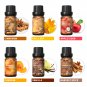 Spice Fragrance Oils, TOP 6 Gift Set, 100% Pure Perfume Oil