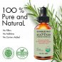 Rosemary Mint Hair Growth Oil Preventing Hair Dryness, Organics Hair Care Oil