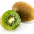 Vincent Female Kiwi Live Starter Plant Fruit Vine Actinidia Chinensis Usa Vincent Female Kiwi Live Starter Plant Fruit Vine Actinidia Chinensis Usa
