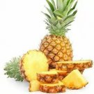 Live Pineapple Plantelite Gold Ananas Comosus Edible Fruit