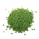 25 Seeds GREEN CHICK PEA Chickpea Garbanzo Bean Chana Cicer Arietinum Vegetable