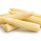 75 Seeds Japanese WHITE HULLESS POPCORN or Baby Corn Heirloom Vegetable 75 Seeds Japanese WHITE HULLESS POPCORN or Baby Corn Heirloom Vegetable