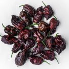 10 Seeds Chocolate CAROLINA REAPER PEPPER Worlds Hottest Capsicum Chinense Chili 10 Seeds Chocolate CAROLINA REAPER PEPPER Worlds Hottest Capsicum Chinense Chili