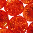 200 Seeds Red RUTGERS TOMATO Lycopersicon Globe Determinate 8 oz Fruit Vegetable