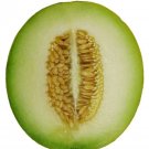 75 Seeds Green Flesh ROCKY FORD CANTALOUPE Muskmelon Cucumis Melo Melon Fruit