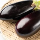 300 Seeds FLORIDA MARKET EGGPLANT Purple Aubergine Solanum Melongena Vegetable