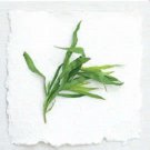 100 Seeds TARRAGON Common Kitchen Artemisia Dracunculus Herb 100 Seeds TARRAGON Common Kitchen Artemisia Dracunculus Herb