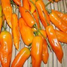 Pepper Hot Aji Amarillo 100 seeds Pepper Hot Aji Amarillo 100 seeds