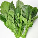 Baby Broccoli Gai Lan 500 seeds