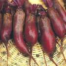 Beets Cylindra Long Red 1,000 seeds Beets Cylindra Long Red 1,000 seeds