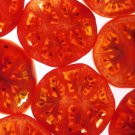 200 Seeds Red RUTGERS TOMATO Lycopersicon Globe Determinate 8 oz Fruit Vegetable 200 Seeds Red RUTGERS TOMATO Lycopersicon Globe Determinate 8 oz Fruit Vegetable