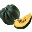 50 Seeds TABLE KING ACORN SQUASH Winter or Summer Cucurbita Maxima Vegetable 50 Seeds TABLE KING ACORN SQUASH Winter or Summer Cucurbita Maxima Vegetable