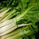 250 Seeds BARESE SWISS CHARD White Rib Perpetual Spinach Beta Vegetable
