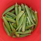 150 Seeds EMERALD GREEN VELVET OKRA Spineless Abelmoschus Esculentus Vegetable 150 Seeds EMERALD GREEN VELVET OKRA Spineless Abelmoschus Esculentus Vegetable