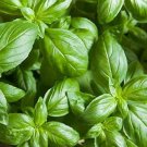 Basil Eleonora 2,000 seeds