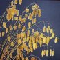 Briza maxima Great Quaking Grass 2,000 seeds