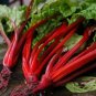 Swiss Chard Ruby Red 500 seeds