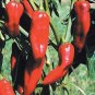 Pepper Corno di Toro Red 250 seeds