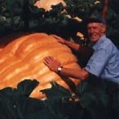 Pumpkin Dills Atlantic Giant 100 seeds Pumpkin Dills Atlantic Giant 100 seeds