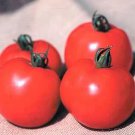 Tomato Better Boy Vfn 250 seeds Tomato Better Boy Vfn 250 seeds