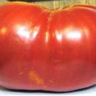 Tomato Big Zac Hybrid 100 seeds Tomato Big Zac Hybrid 100 seeds