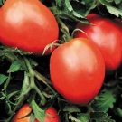 Tomato Amish Paste 250 seeds Tomato Amish Paste 250 seeds