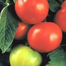 Tomato Big Beef Hybrid 250 seeds Tomato Big Beef Hybrid 250 seeds