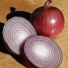 Onion Ruby Ring 500 seeds Onion Ruby Ring 500 seeds