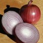 Onion Ruby Ring 500 seeds