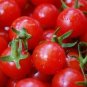 Tomato Window Box Globe 250 seeds