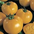 Tomato Sunny Boy 250 seeds Tomato Sunny Boy 250 seeds