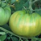 Tomato Evergreen 250 seeds Tomato Evergreen 250 seeds