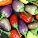 Pepper Hot Chinese 5 Color 250 seeds
