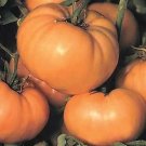 Tomato Dixie Golden Giant 250 seeds Tomato Dixie Golden Giant 250 seeds