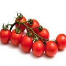 Tomato Redi-Pick Sweet Cherry 250 seeds Tomato Redi-Pick Sweet Cherry 250 seeds