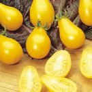 Tomato Yellow Pear 250 seeds Tomato Yellow Pear 250 seeds
