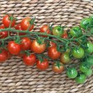 Tomato Sugar Lump 250 seeds