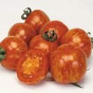 Tomato Red Zebra 250 seeds Tomato Red Zebra 250 seeds