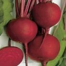 Beets Detroit Dark Red 500 seeds Beets Detroit Dark Red 500 seeds