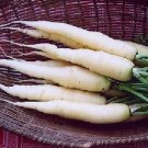 Carrot Lunar White 1,000 seeds