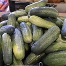 Cucumber Carolina 250 seeds