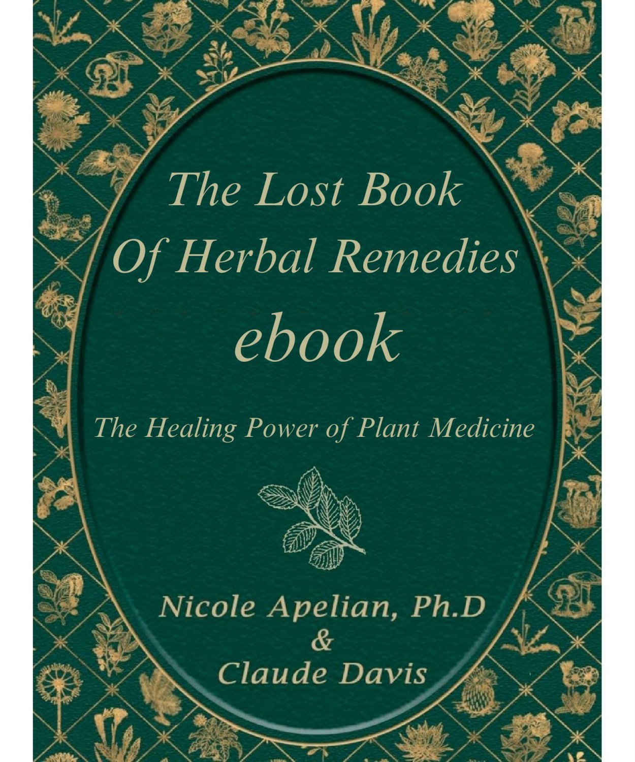 The Lost Book Of Herbal Remedies