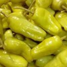 100 Seeds Pepperoncini Pepper (Hard to Find) Seeds Fresh Garden