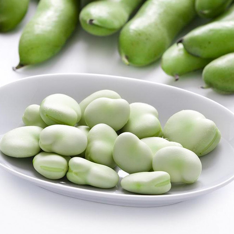 Green White Giant Broad Bean Seeds, 100 Seeds Vicia faba Vegetables Organic Fresh Garden